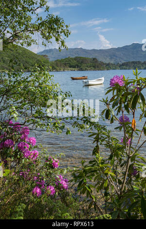 Barche sul Loch Morar visto attraverso estate cespugli fioriti. Morar, regione delle Highlands, Scozia Foto Stock