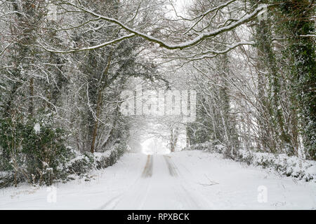 Strada di campagna coperta di neve vicino Eastleach nel mese di gennaio. Eastleach, Cotswolds, Gloucestershire, Inghilterra Foto Stock