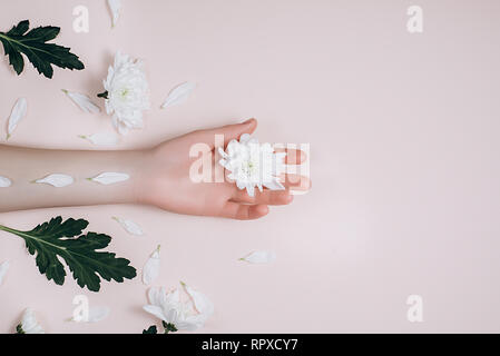 Close-up sofisticato belle mani femminili con fiori di colore bianco su sfondo rosa. Il concetto di cura a mano, anti-rughe, anti-invecchiamento della crema. Piatto, laici top Foto Stock