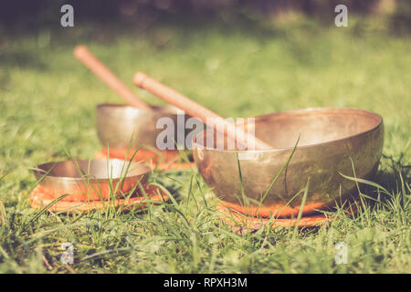 Set di metallo SINGING BOWLS in erba del proprio giardino zen Foto Stock