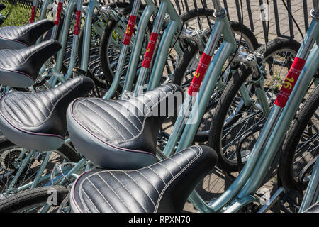 Sedi di biciclette. Biciclette stand in una fila sullo sfondo. Foto Stock