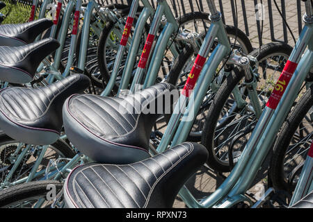 Sedi di biciclette. Biciclette stand in una fila sullo sfondo. Foto Stock