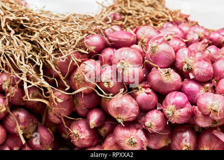 Close-up di un isolato gruppo di piccole cipolle rosse insieme con le sue foglie secca attaccati, in vendita in Chinatown, Manila, Filippine Foto Stock