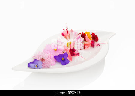 Deliziosa insalata dal mix di fiori commestibili su piastra bianca su sfondo bianco. Delizie insalata fresca dal di sopra. Foto Stock