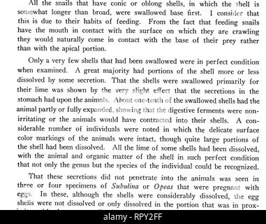 . Lumache terrestri dalle Hawaii, Isola di Natale, e Samoa. Lumache; molluschi; molluschi; molluschi. Pilshry, Cooke, Neal-lumache dalle Hawaii, Natale, Samoa 11 anatomia della bocca di un campione medio di Partula misure zehrina extern- alleato di poco meno di 2 mm. nel suo diametro più lungo. Parte posteriore della bocca è la massa boccale, che è costituito da un solido piuttosto serie di muscoli per lavoro- ing la ganascia e radula. Attaccata alla porzione superiore della massa buccale è l'esofago, un lungo e piuttosto sottile tubo che porta al raccolto o lo stomaco. L'esofago è da 0,75 mm a 1,25 mm di diametro. I serbatoi h Foto Stock