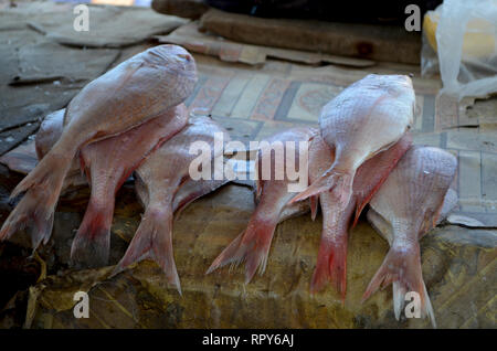Affollato mercato del pesce di Mbour, Senegal, un commercio regionale mozzo Foto Stock