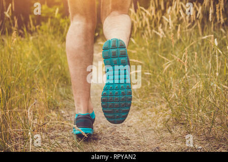 Uomo che corre nella Foresta estate al tramonto Foto Stock