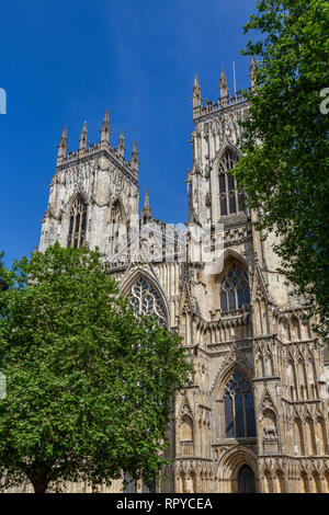 York Minster (ex Cattedrale Metropolitical e Chiesa di San Pietro in York), città di York, UK. Foto Stock