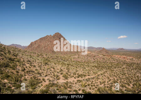 Suggestivi paesaggi guardando a nord da Dripping Springs su Puerto Blanco Loop Road, organo a canne Cactus monumento nazionale, South Central Arizona Foto Stock