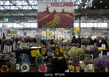 Leipzig, Germania. Il 23 febbraio, 2019. Bulbi di fiori da Holland sono offerti in vendita al 'Haus Garten Freizeit' commercio equo alla Leipziger Messe. Parallelamente al 'Haus Garten Freizeit' la fiera 'Mitteldeutsche Handwerksmesse 2019' avviene dal 23.02.-03.03.2019. Credito: Pietro Endig/dpa/Alamy Live News Foto Stock