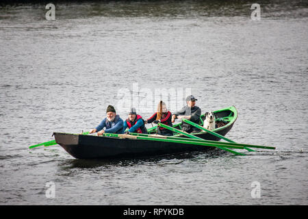 La città di Cork, Cork, Irlanda. Il 23 febbraio, 2019. I membri di Naomhóga Chorcaí accompagnati dal loro cane fila un nativo Currach irlandese da Ovest dell Irlanda sul fiume Lee nella città di Cork, Irlanda. Credito: David Creedon/Alamy Live News Foto Stock