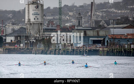 La città di Cork, Cork, Irlanda. Il 23 febbraio, 2019. Cinque skullers singolo da Shandon Boat Club row sul fiume Lee contro uno sfondo di nord sporti in città di Cork, Irlanda. Credito: David Creedon/Alamy Live News Foto Stock