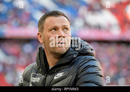 Monaco di Baviera, Germania, 23 febbraio, 2019. Hertha BSC, XXIII Giornata di Allianz Arena. Hertha pullman Dardai Pal è sull orlo del gioco. Foto: Matthias esitano di fronte/dpa - NOTA IMPORTANTE: In conformità con i requisiti del DFL Deutsche Fußball Liga o la DFB Deutscher Fußball-Bund, è vietato utilizzare o hanno utilizzato fotografie scattate allo stadio e/o la partita in forma di sequenza di immagini e/o video-come sequenze di foto. Credito: dpa picture alliance/Alamy Live News Credito: dpa picture alliance/Alamy Live News Foto Stock