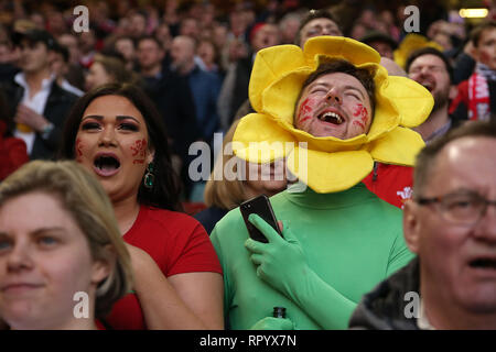 Cardiff, Regno Unito. Il 23 febbraio, 2019. I fan del Galles celebrare. Il Galles v Inghilterra Guinness Sei Nazioni 2019 international partita di rugby al Principato Stadium di Cardiff Wales, Regno Unito sabato 23 febbraio 2019. pic da Andrew Orchard/Alamy Live News nota immagine disponibile per il solo uso editoriale Foto Stock