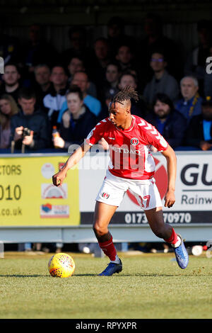 Kingston, Regno Unito. Il 23 febbraio, 2019. Joe Aribo di Charlton Athletic durante il cielo EFL scommettere League 1 match tra AFC Wimbledon e Charlton Athletic al Cherry Red Records Stadium, Kingston, in Inghilterra il 23 febbraio 2019. Foto di Carlton Myrie. Solo uso editoriale, è richiesta una licenza per uso commerciale. Nessun uso in scommesse, giochi o un singolo giocatore/club/league pubblicazioni. Credit: UK Sports Pics Ltd/Alamy Live News Foto Stock