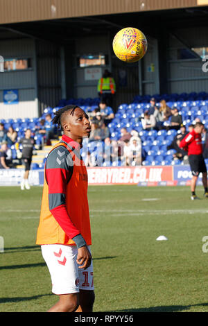 Kingston, Regno Unito. Il 23 febbraio, 2019. Joe Aribo di Charlton Athletic si riscalda durante il cielo EFL scommettere League 1 match tra AFC Wimbledon e Charlton Athletic al Cherry Red Records Stadium, Kingston, in Inghilterra il 23 febbraio 2019. Foto di Carlton Myrie. Solo uso editoriale, è richiesta una licenza per uso commerciale. Nessun uso in scommesse, giochi o un singolo giocatore/club/league pubblicazioni. Credit: UK Sports Pics Ltd/Alamy Live News Foto Stock