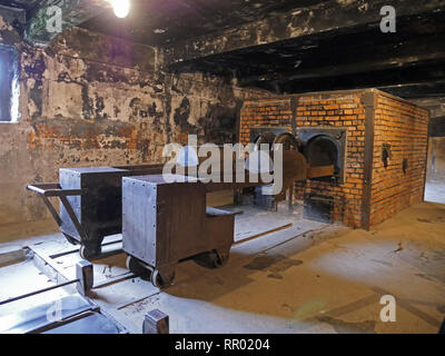 Polonia - Auschwitz Berkenau campo di concentramento. La camera a gas. Forni per corpi cremating. Foto Stock