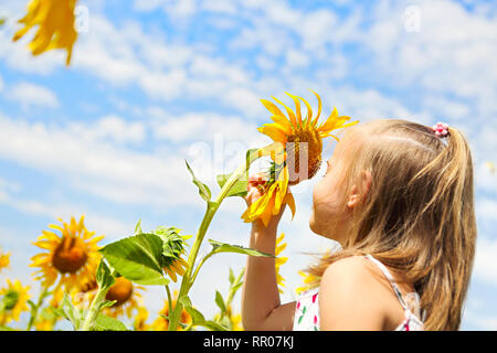 Bambini che giocano nel campo di girasole sulla soleggiata giornata estiva. bambina gioca con i girasoli. Foto Stock