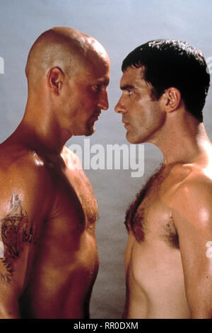 Knock Out - EINE SCHLAGKRÄFTIGE FREUNDSCHAFT / giocare all'osso / USA 1999 / Ron Shelton / Szene mit Vince Boudreau (Woody Harrelson) und Ceasar Dominguez (Antonio Banderas) C43064 / Überschrift: messo K.O. - EINE SCHLAGKRÄFTIGE FREUNDSCHAFT / USA 1999 Foto Stock