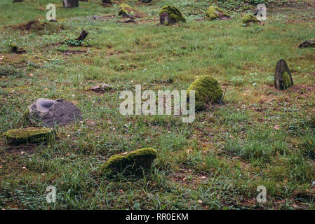 Il cimitero di musulmani nel villaggio di Kruszyniany, ex tartari polacco saldo entro Sokolka County, Voivodato Podlaskie di Polonia Foto Stock