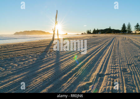 Le vie da spiaggia toelettatura che portano lontano verso Alba con sun burst tra driftwood permanente sulla spiaggia Foto Stock