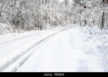 Foresta di avvolgimento strada coperta da uno spesso strato di neve Foto Stock