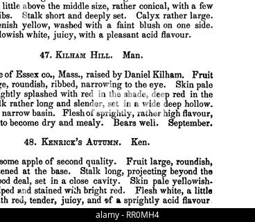 . La frutta e gli alberi da frutto d'America;. Frutta-cultura; frutta. 88 mele. 49. KiKG del Pippins. Thomp, Lind. Ron. Hampshire giallo. Un apple altamente classificato in Inghilterra, provenienza, ma whi^/mi risulta scarsamente primo tasso qui. Frutto di medie dimensioni e di forma conica o pearmain forma. Pelle liscia e di colore giallo pallido, delicatamente venato e lavato con rosso accanto al sun. Levetta snello, un pollice a lungo. Calice ampio, impostato in un profondo anche bacino. Carne bianca molto stabile e di ottima qualità. La struttura ad albero è un montante coltivatore e orsi abbondantemente. Ottobre e Novembre. 50. Kerry Pippin. Thomp. Lind. Ron. Edmonton è un Foto Stock