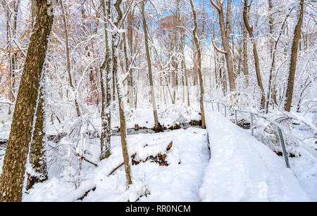 Sentiero attraverso una foresta coperta da uno spesso strato di neve Foto Stock