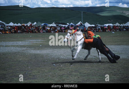 Didascalia: Litang, Sichuan, in Cina - Ago 2003. Un cavaliere Khampa esegue acrobazie per la folla all'Horse Racing Festival in Litang, ex Tib Foto Stock