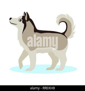 Piuttosto Alaskan Malamute icona, grande cane peloso, isolato su sfondo bianco Illustrazione Vettoriale
