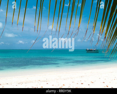 Spiaggia tropicale dell'isola di dos mosquices, Los Roques, Venezuela. Foto Stock