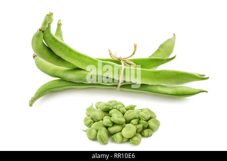 Fava isolati su sfondo bianco Foto Stock