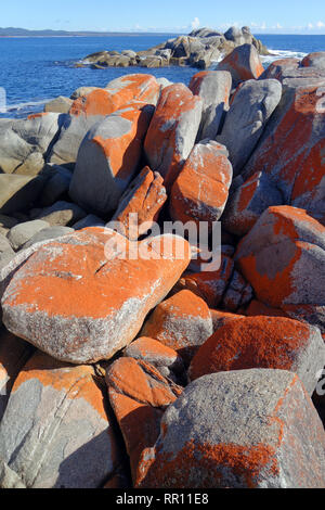 Punto di scheletro, Binalong Bay, Baia di incendi, Tasmania, Australia Foto Stock