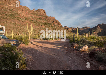 Alamo paesaggio Canyon scenic all organo a canne Cactus monumento nazionale, south central Arizona Foto Stock