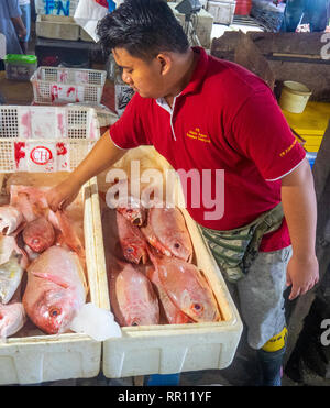 Voce maschile pescivendolo la vendita di pesce fresco al Kedonganan Mercato del Pesce, la baia di Jimbaran Bali Indonesia. Foto Stock