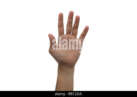 Una mano sollevata in alto isolato su sfondo bianco. Foto Stock