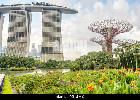 Fiori a Gardens by the Bay con il Marina Bay Sands Hotel sullo sfondo, Singapore Foto Stock