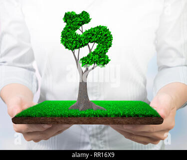 Concetto di sviluppo circolare verde economia e fornendo verde tecnologia amichevole, donna mani albero con foglie in dollar sign forma su mea Foto Stock