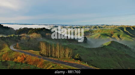 Strada che conduce attraverso le verdi colline con le nuvole rotolando su di essi durante il sunrise sull Isola del nord della Nuova Zelanda. Foto Stock