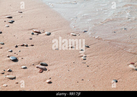 Piccole pietre bagnato nella sabbia sulla spiaggia, Estate Mare Vacanze foto di sfondo Foto Stock
