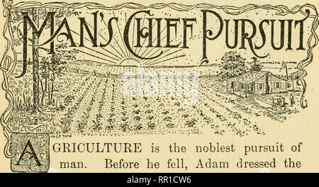 . Agricoltura per le scuole comuni. L'agricoltura. Agricoltura per le scuole comuni. Capitolo I. GRICULTURE è il perseguimento più nobili dell'uomo. Prima che cadesse, Adam vestito il giardino di Eden. La partecipazione del frutto proibito è stata la causa della caduta. La frase pro- nounced all uomo caduto era che "con il sudore del tuo volto mangerai il pane." La frase pro- nounced a terra Wi.s che "spine e cardi deve portare avanti a te". Il risultato di queste due frasi resta in pieno vigore a questo giorno. Il male è la crescita spontanea. Il bene deve essere coltivato, Foto Stock