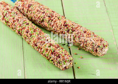 Cibo per pappagalli su un bastone di legno verde sullo sfondo Foto Stock