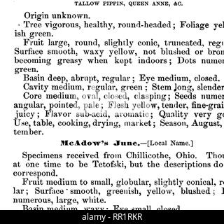 . American pomology : mele. Le mele. Classe III. KOUND mele. 1. IL I. 577 Frutto di grandi dimensioni, globulare, leggermente conica, tronco e alcuni- wliat angolare superficie liscia, diventando grassa - Verde - Giallo ish ; punti minuto, prominente. Basin brusco, ripiegato; occhio piccolo e chiuso. "Cavità ampia, ondulate ; gambo lungo, inclinato. Nucleo di medie, chiuso, stringendo;. Semi lunghi e numerosi,. Fig. 203.-MICHIGAN GOLDEN. ha sottolineato; carne giallo, rottura, succosa; sapore sub-acido; qualità quasi migliori; TJse, tavolo, cucina; Stagione, Septem- ber per Koyember. Iffoninoutli. Pipino. RED guancia. Frutto piuttosto grande, bello, di forma tondeggiante oppure Foto Stock