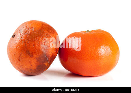 Fresco e danneggiato tangerine isolati su sfondo bianco Foto Stock