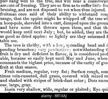 . American pomology : mele. Le mele. Classe I.-flat mele.-I. II. II. 421 HaldT^iii. Questa celebrata apple della Nuova Inghilterra è stato ampiamente- distribuiti nel paese, ma non ha incontrato uni- versal favore ad ovest e sud ; innanzitutto perché esso è atto a diventare una caduta o inizio inverno frutta, invece di mantenere- ing apple ; e in secondo luogo perché essa non è ben adattata per i nostri palati ; inoltre, l'albero è stata considerata offerta, avendo subito ampiamente durante gli inverni freddi; questo è particolarmente vero nel vivaio. La produttività e la qualità leale sarà tuttavia sempre di Ba Foto Stock