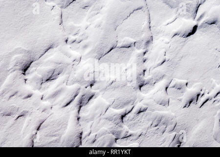 Chiusura del vento modelli scolpita nella neve fresca Foto Stock