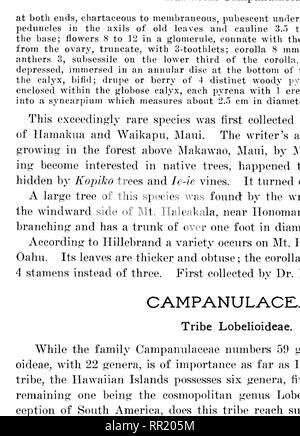 . La alberi indigeni delle Isole Hawaii. Alberi. Piastra im.. CLEEMOMTIA BEEPAMOMOEPHA. lloek. Circa due-tliircb iiatiirnJ dimensioni: la messa a maggese fiori e fniitB. Si prega di notare che queste immagini vengono estratte dalla pagina sottoposta a scansione di immagini che possono essere state migliorate digitalmente per la leggibilità - Colorazione e aspetto di queste illustrazioni potrebbero non perfettamente assomigliano al lavoro originale. Rock, Giuseppe Francesco Charles, 1884-1962. Honolulu, T. H. Foto Stock