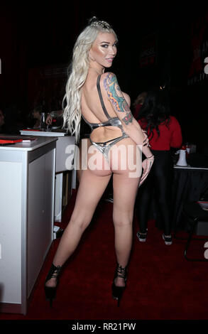 Una vista generale dal giorno 1 di AVN Adult Entertainment Expo al Hard Rock Hotel e Casino di Las Vegas offre: Aubrey Kate dove: Las Vegas, Nevada, Stati Uniti quando: 23 Gen 2019 Credit: Judy Eddy/WENN.com Foto Stock