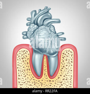 Per le cure dentarie o orale per la salute e la malattia di cuore il concetto igiene causato dalla placca di dente e gomma di infezioni dovute a batteri della bocca di danneggiare le valvole. Foto Stock