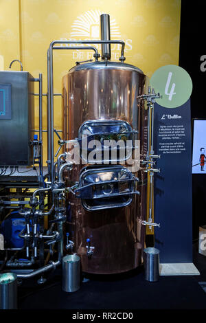 Parigi, Francia. 23 feb 2019. La 56th fiera agricola internazionale apre le sue porte dal 23 febbraio al 3 marzo 2019 a Parigi, Francia. Credito: Bernard Menigault/Alamy Live News Foto Stock